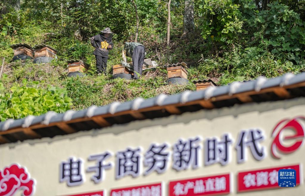 m娱乐